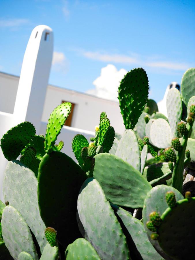 Agroturisme Can Planells Sant Miquel de Balansat Eksteriør billede